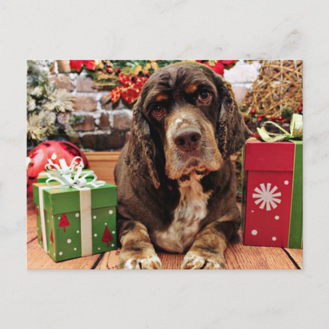 Cartes Pour Fêtes Annuelles Noël - Cocker Spaniel - Remmy (Devant)