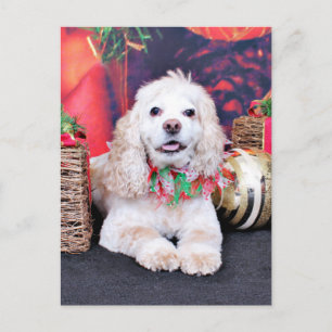 Cartes Pour Fêtes Annuelles Noël - Cocker Spaniel - Sammy