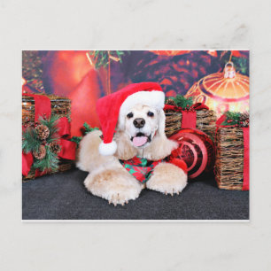 Cartes Pour Fêtes Annuelles Noël - Cocker Spaniel - Tobey