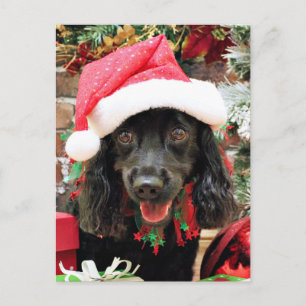 Cartes Pour Fêtes Annuelles Noël - Cocker Spaniel X - Poivre