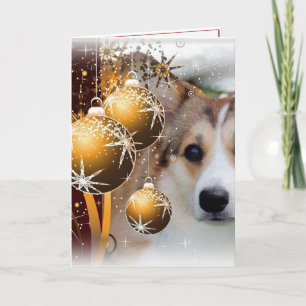 Cartes Pour Fêtes Annuelles Noël Corgi Sable