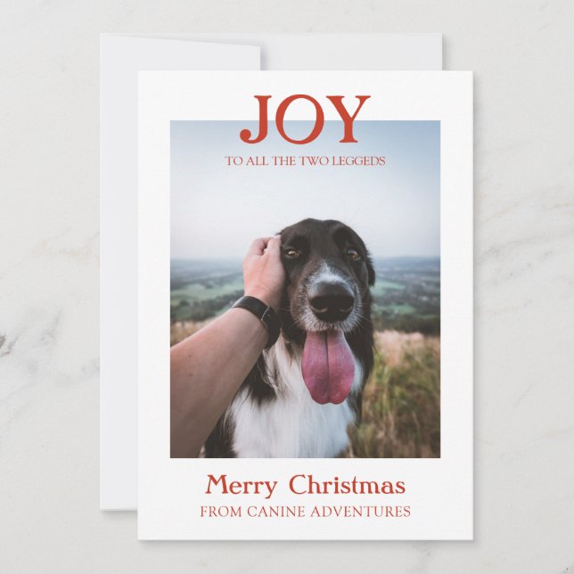 Cartes Pour Fêtes Annuelles Noël Custom Chien Photo Chien Walker Business (Devant)