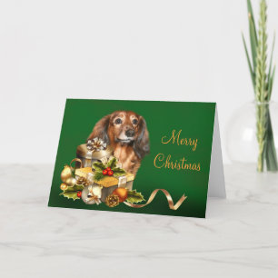 Cartes Pour Fêtes Annuelles Noël Dachshund