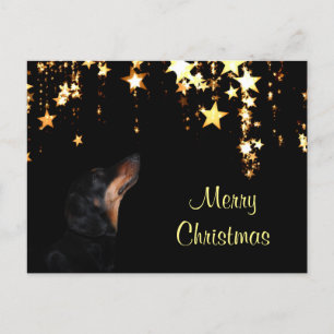 Cartes Pour Fêtes Annuelles Noël Dachshund