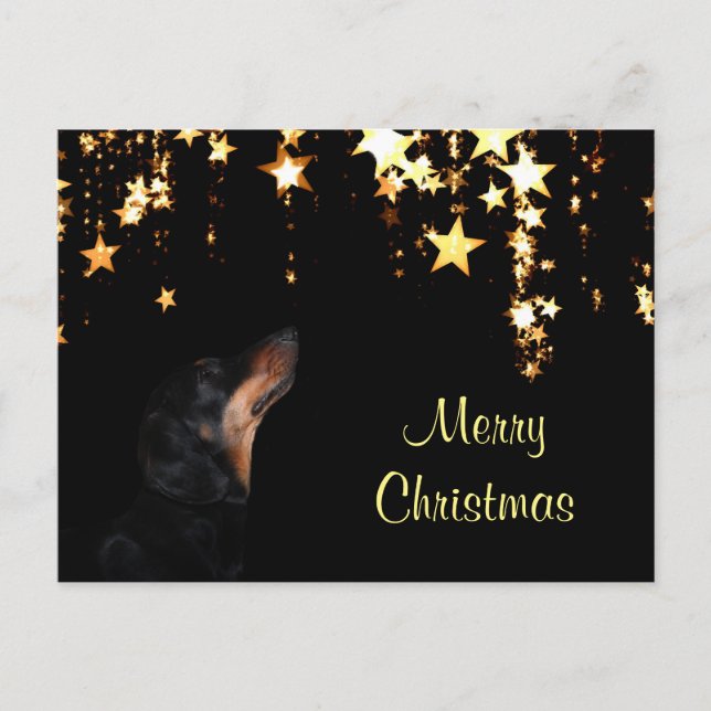 Cartes Pour Fêtes Annuelles Noël Dachshund (Devant)