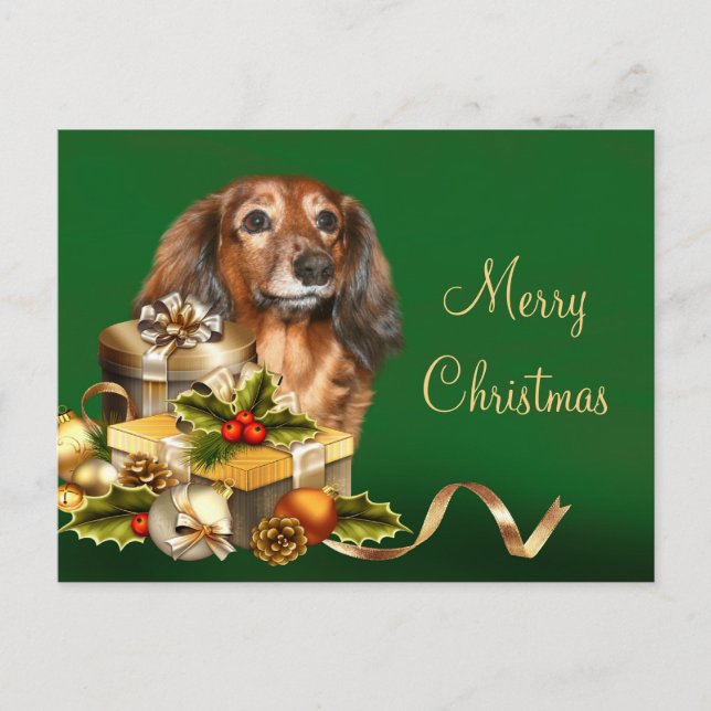 Cartes Pour Fêtes Annuelles Noël Dachshund (Devant)