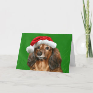 Cartes Pour Fêtes Annuelles Noël Dachshund