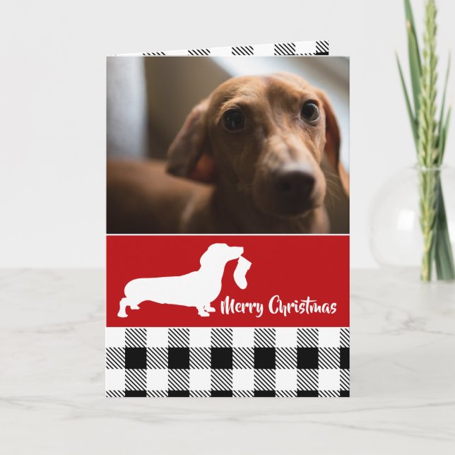 Cartes Pour Fêtes Annuelles Noël Dachshund et Plaid (Devant)