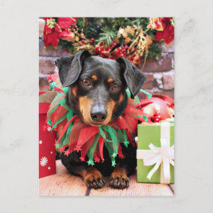 Cartes Pour Fêtes Annuelles Noël - Dachshund - Tanner