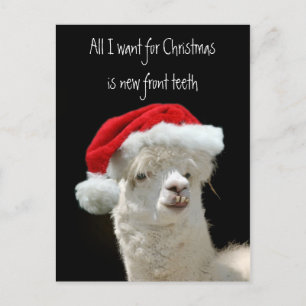 Cartes Pour Fêtes Annuelles Noël d'Alpaca
