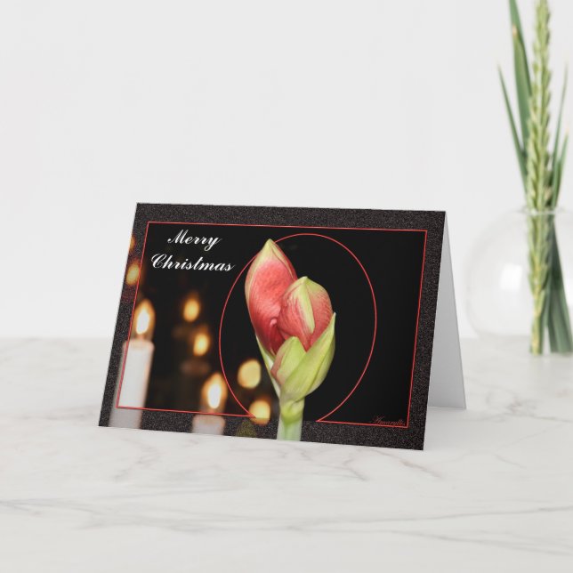 Cartes Pour Fêtes Annuelles Noël d'amaryllis (Devant)