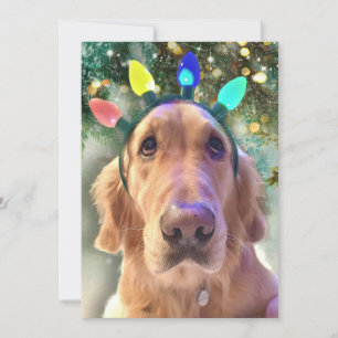 Cartes Pour Fêtes Annuelles Noël de Bah Humbug de Nova - Golden Retriever -