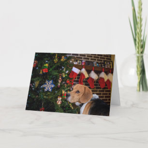 Cartes Pour Fêtes Annuelles Noël de beagle