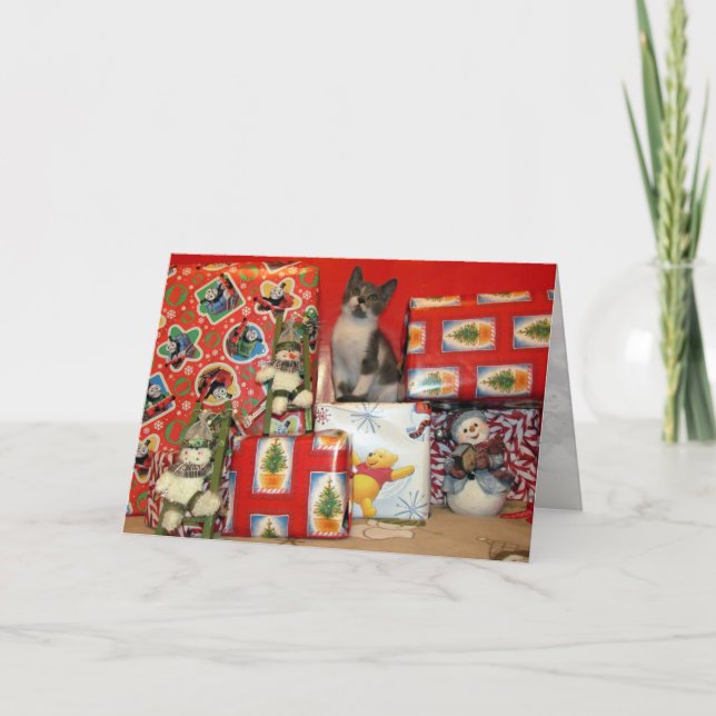 Cartes Pour Fêtes Annuelles Noël de Bob - Chat / Kitten (Devant)