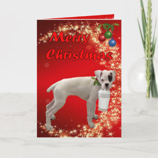 Cartes Pour Fêtes Annuelles Noël de boxeur