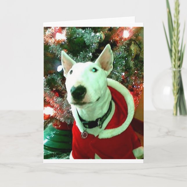 Cartes Pour Fêtes Annuelles Noël de bull-terrier (Devant)