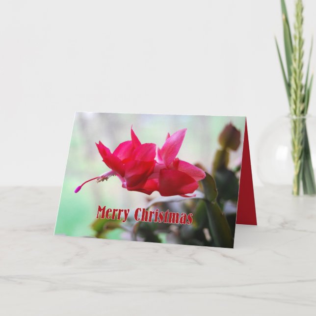 Cartes Pour Fêtes Annuelles Noël de cactus de Noël Joyeux (Devant)