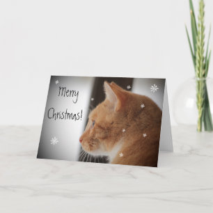 Cartes Pour Fêtes Annuelles Noël de chat de Kitty Joyeux