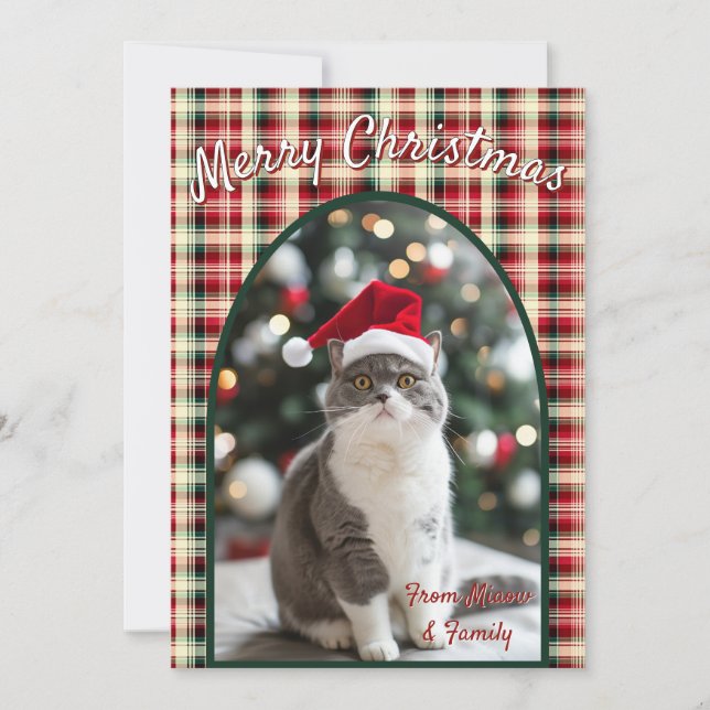 Cartes Pour Fêtes Annuelles Noël de chat personnalisé (Devant)
