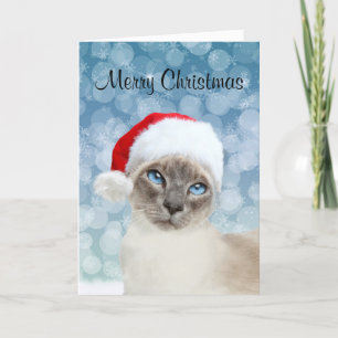 Cartes Pour Fêtes Annuelles Noël de chat siamois