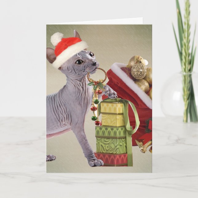 Cartes Pour Fêtes Annuelles Noël de chaton de Sphynx (Devant)