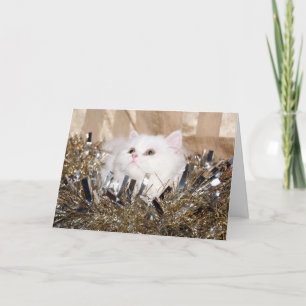 Cartes Pour Fêtes Annuelles Noël de chaton perse blanc