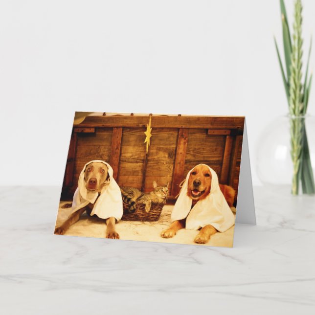 Cartes Pour Fêtes Annuelles Noël de chien (Devant)