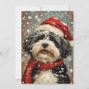 Cartes Pour Fêtes Annuelles Noël de chien de Havan