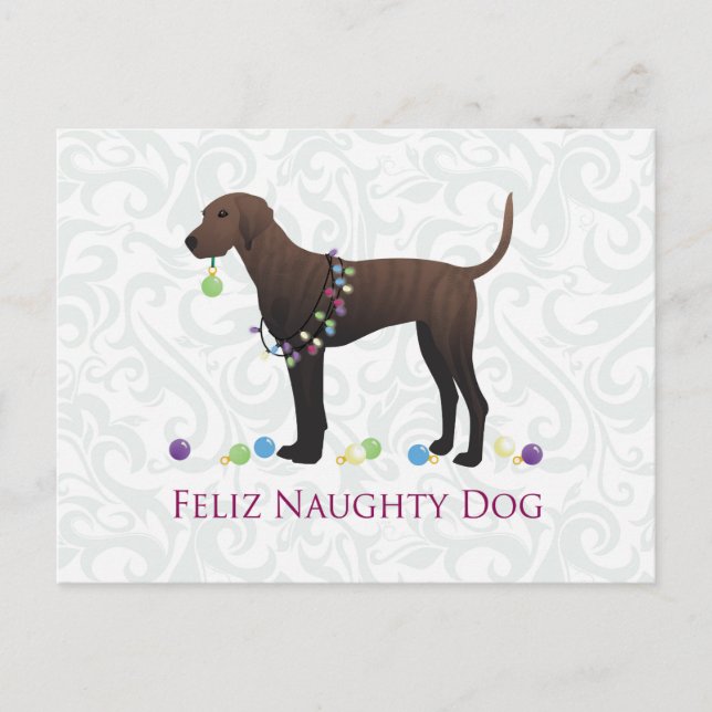 Cartes Pour Fêtes Annuelles Noël de chien de Plott (Devant)