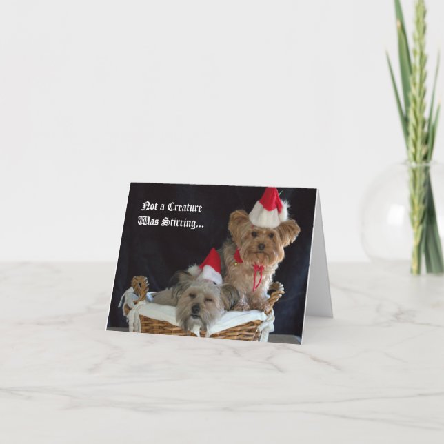 Cartes Pour Fêtes Annuelles Noël de chienchien (Devant)