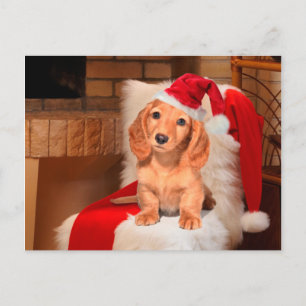 Cartes Pour Fêtes Annuelles Noël de chienchien