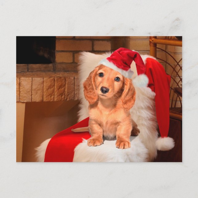 Cartes Pour Fêtes Annuelles Noël de chienchien (Devant)