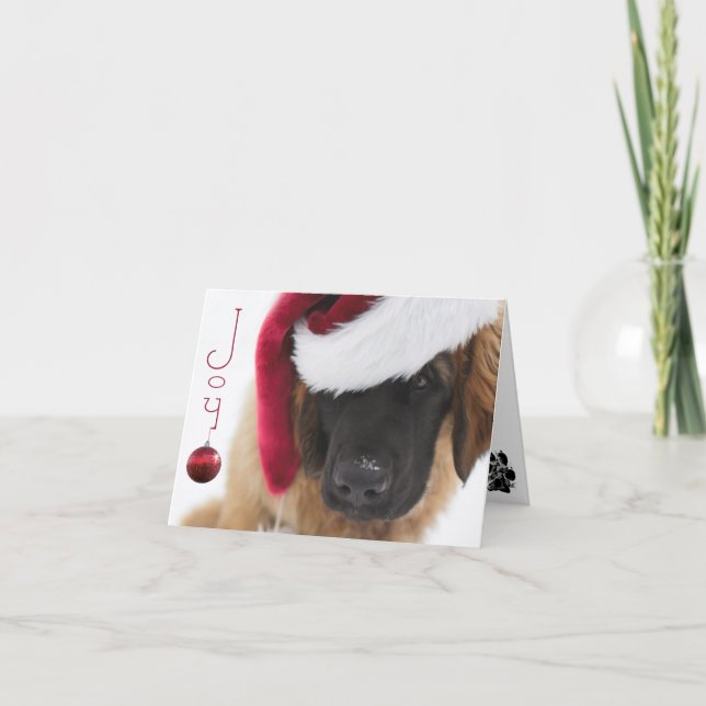 Cartes Pour Fêtes Annuelles Noël de chiot de Leonberger (Devant)