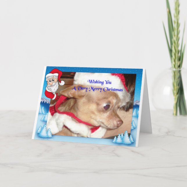 Cartes Pour Fêtes Annuelles Noël de chiwawa (Devant)