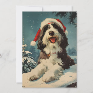 Cartes Pour Fêtes Annuelles Noël de Collie barrée