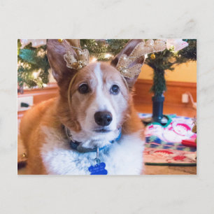 Cartes Pour Fêtes Annuelles Noël de corgi de Gallois de Pembroke
