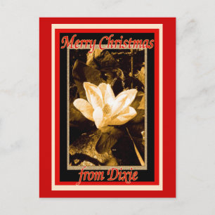 Cartes Pour Fêtes Annuelles Noël de Dixie