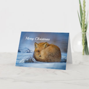 Cartes Pour Fêtes Annuelles Noël de Fox rouge