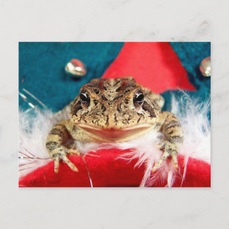 Cartes Pour Fêtes Annuelles Noël de grenouille, Tinsel, plumes, motif père Noë