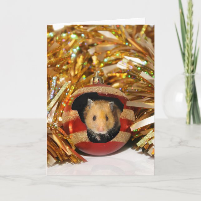 Cartes Pour Fêtes Annuelles Noël de hamster (Devant)