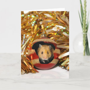Cartes Pour Fêtes Annuelles Noël de hamster