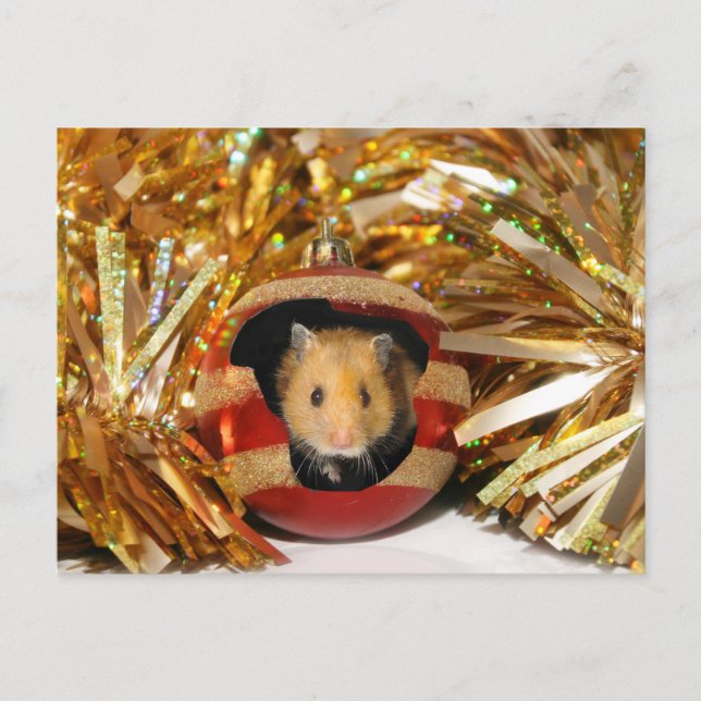 Cartes Pour Fêtes Annuelles Noël de hamster (Devant)