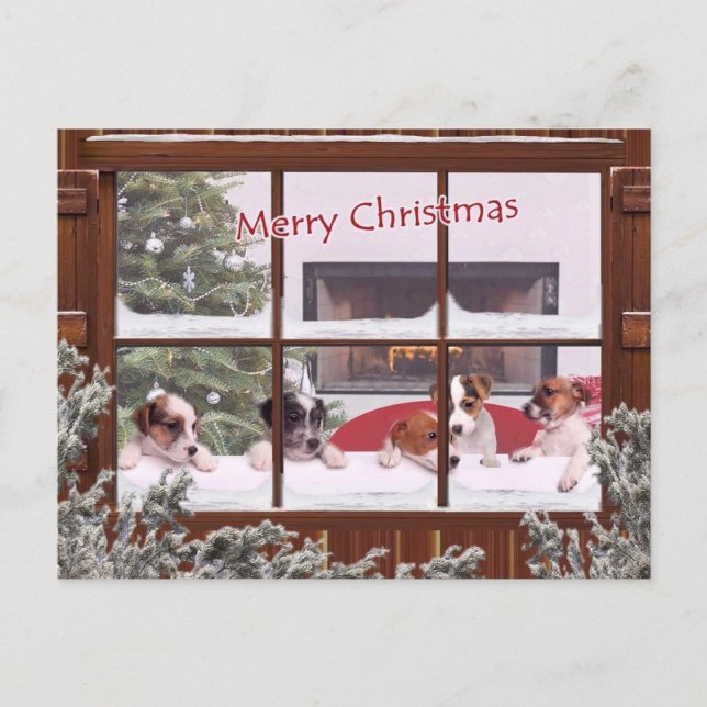 Cartes Pour Fêtes Annuelles Noël de Jack Russell souhaite la salutation (Devant)