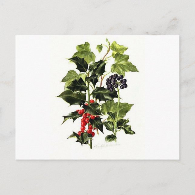 Cartes Pour Fêtes Annuelles Noël de la conception du lierre et du saint (Devant)