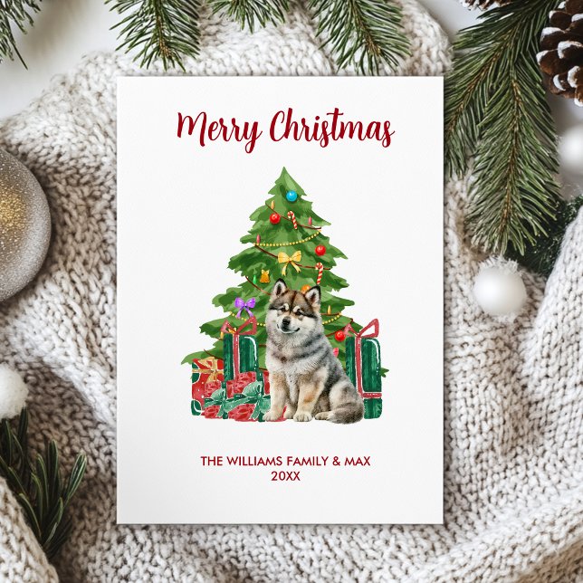 Cartes Pour Fêtes Annuelles Noël de la famille de Chien Husky Cute (Créateur téléchargé)