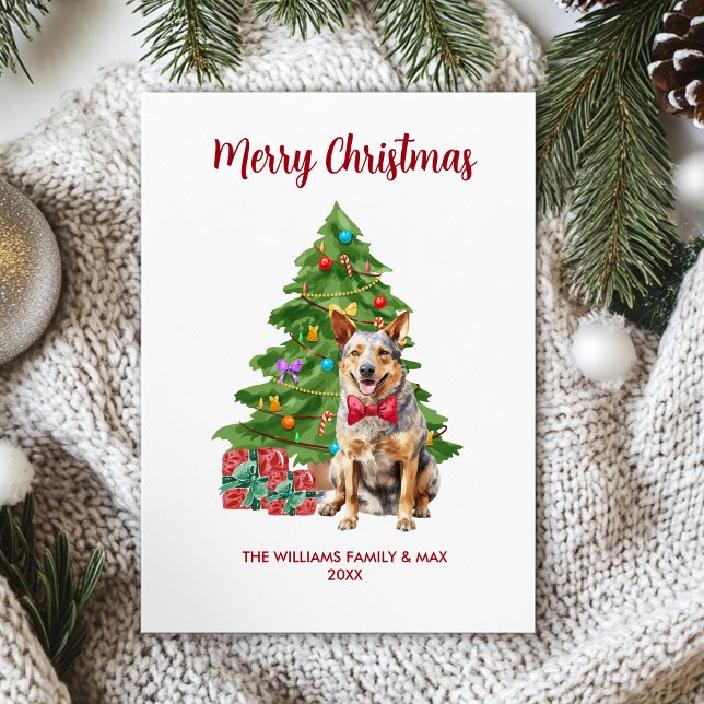 Cartes Pour Fêtes Annuelles Noël de la famille des Chiens de Blue Heeler (Créateur téléchargé)