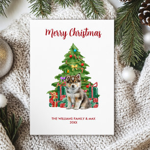 Cartes Pour Fêtes Annuelles Noël de la famille des chiens Husky