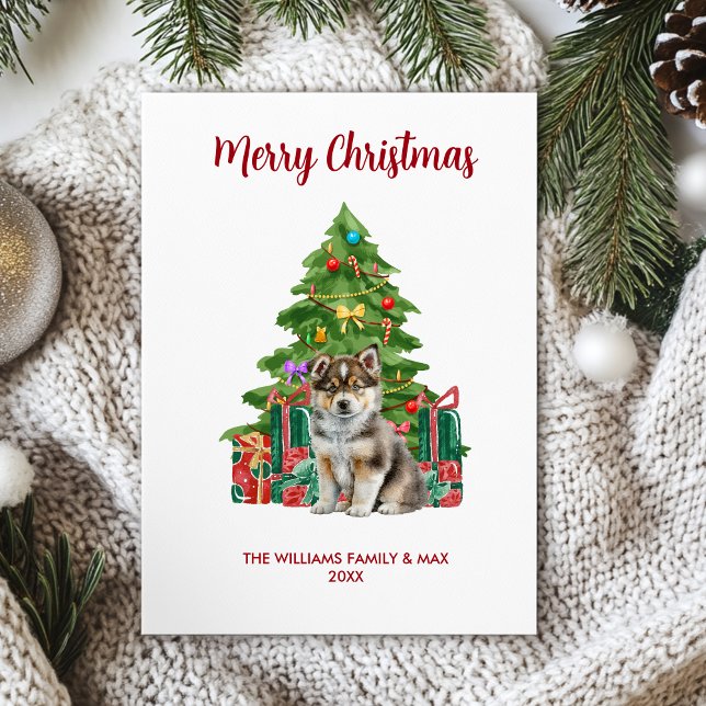 Cartes Pour Fêtes Annuelles Noël de la famille des chiens Husky (Créateur téléchargé)