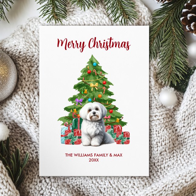 Cartes Pour Fêtes Annuelles Noël de la famille des chiens maltais (Créateur téléchargé)