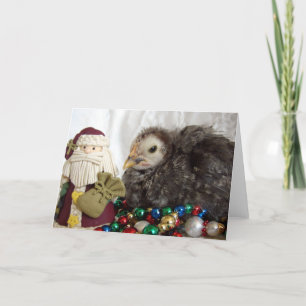 Cartes Pour Fêtes Annuelles Noël de la poule et de Père Noël